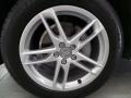 Ibis White - Q5 2.0 TFSI quattro Photo No. 11