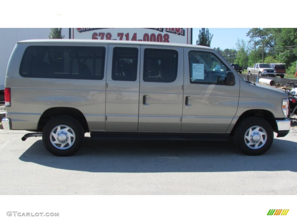 2013 E Series Van E350 XLT Passenger - Pueblo Gold Metallic / Medium Pebble photo #7