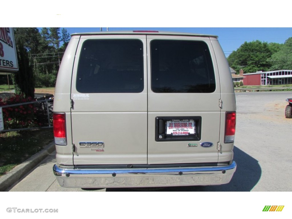 2013 E Series Van E350 XLT Passenger - Pueblo Gold Metallic / Medium Pebble photo #72