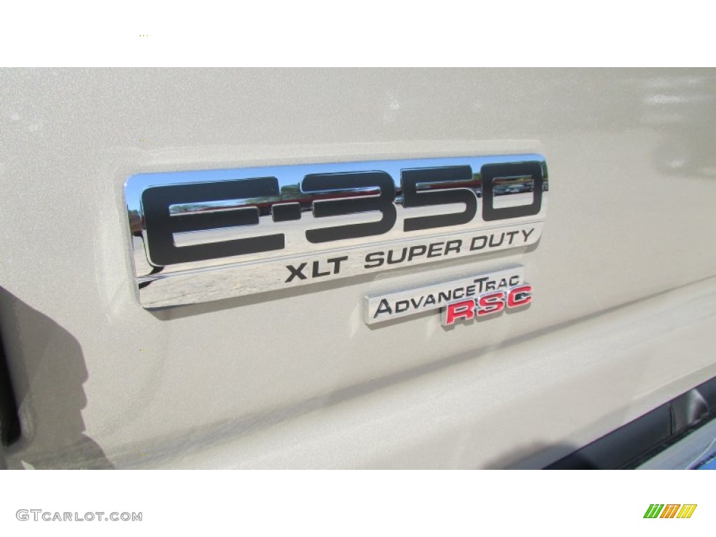2013 E Series Van E350 XLT Passenger - Pueblo Gold Metallic / Medium Pebble photo #91