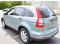 Opal Sage Metallic - CR-V SE 4WD Photo No. 10