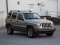 2005 Dark Khaki Pearl Jeep Liberty Renegade 4x4  photo #2