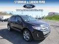 Tuxedo Black Metallic 2013 Ford Edge Limited AWD