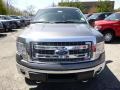 2014 Sterling Grey Ford F150 XLT SuperCrew 4x4  photo #6