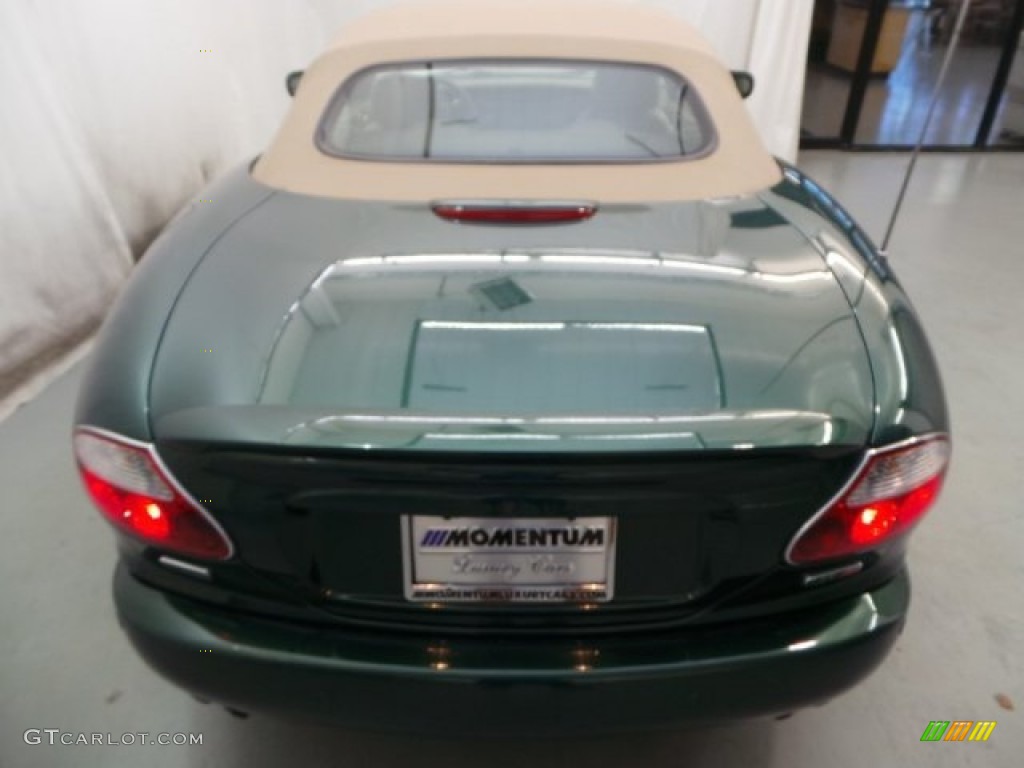 2005 XK XK8 Convertible - Jaguar Racing Green Metallic / Cashmere photo #5