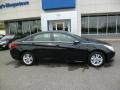 Phantom Black Metallic - Sonata GLS Photo No. 8