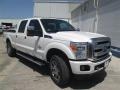 2015 White Platinum Ford F250 Super Duty Platinum Crew Cab 4x4  photo #1