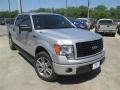 2014 Ingot Silver Ford F150 STX SuperCrew  photo #3