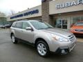 2014 Tungsten Metallic Subaru Outback 2.5i Premium  photo #1