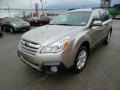 Tungsten Metallic 2014 Subaru Outback 2.5i Premium Exterior