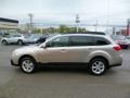 2014 Tungsten Metallic Subaru Outback 2.5i Premium  photo #4