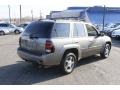 2009 Graystone Metallic Chevrolet TrailBlazer LT 4x4  photo #6