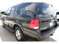 2005 Black Clearcoat Ford Expedition Limited  photo #6