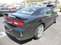 Pitch Black - Charger SXT Photo No. 5