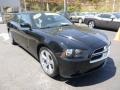 Pitch Black - Charger SXT Photo No. 7