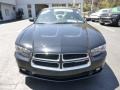 Pitch Black - Charger SXT Photo No. 8