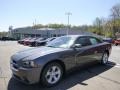 Granite Crystal Metallic - Charger SE Photo No. 1