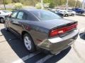 Granite Crystal Metallic - Charger SE Photo No. 3