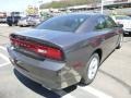 Granite Crystal Metallic - Charger SE Photo No. 5