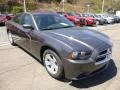 Granite Crystal Metallic - Charger SE Photo No. 7