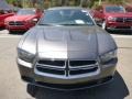 Granite Crystal Metallic - Charger SE Photo No. 8