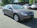Taupe Gray Metallic - Malibu LS Sedan Photo No. 4