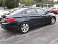 2011 Pacific Blue Pearl Hyundai Sonata Limited  photo #16