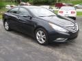 2011 Pacific Blue Pearl Hyundai Sonata Limited  photo #19