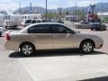 Light Driftwood Metallic - Malibu LS V6 Sedan Photo No. 13