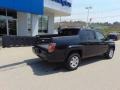 Nighthawk Black Pearl - Ridgeline RTL Photo No. 9