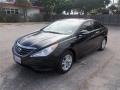 Phantom Black Metallic - Sonata GLS Photo No. 1