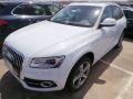 Glacier White Metallic - Q5 3.0 TFSI quattro Photo No. 3