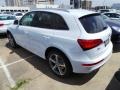 Glacier White Metallic - Q5 3.0 TFSI quattro Photo No. 4
