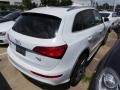 Glacier White Metallic - Q5 3.0 TFSI quattro Photo No. 5