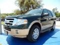 2014 Green Gem Ford Expedition XLT #93245726