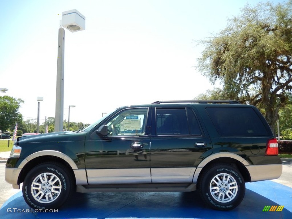 Green Gem 2014 Ford Expedition XLT Exterior Photo #93275167