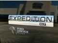 Green Gem - Expedition XLT Photo No. 4