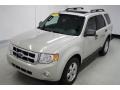 Light Sage Metallic 2009 Ford Escape XLT 4WD