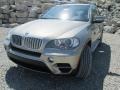 2011 Platinum Bronze Metallic BMW X5 xDrive 35d  photo #2