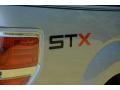 Ingot Silver Metallic - F150 STX Regular Cab Photo No. 6