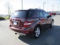 2009 Barolo Red Metallic Mercedes-Benz ML 320 BlueTec 4Matic  photo #6