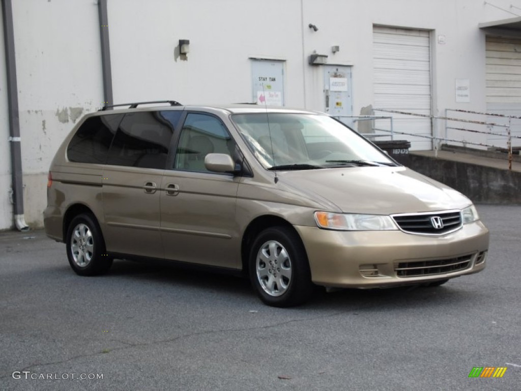 2002 Odyssey EX-L - Mesa Beige Metallic / Ivory photo #3