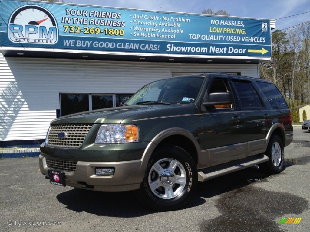 2004 Expedition Eddie Bauer 4x4 - Estate Green Metallic / Medium Parchment photo #1