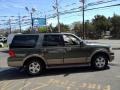 2004 Estate Green Metallic Ford Expedition Eddie Bauer 4x4  photo #8