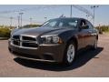 Granite Crystal Metallic 2014 Dodge Charger SE