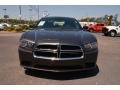 Granite Crystal Metallic - Charger SE Photo No. 2