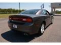 Granite Crystal Metallic - Charger SE Photo No. 5