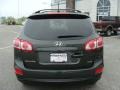 2012 Black Forest Green Hyundai Santa Fe SE V6 AWD  photo #5