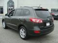 2012 Black Forest Green Hyundai Santa Fe SE V6 AWD  photo #7