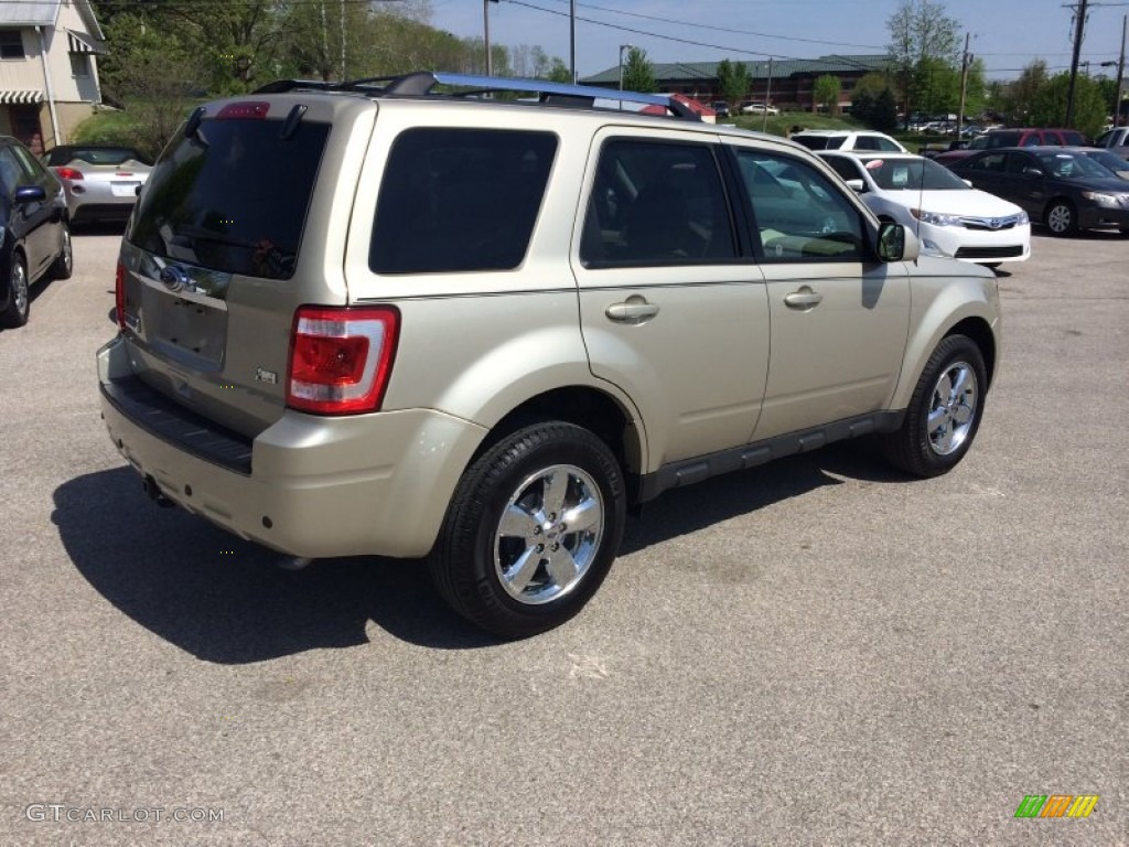 2012 Escape Limited V6 - Gold Leaf Metallic / Camel photo #2